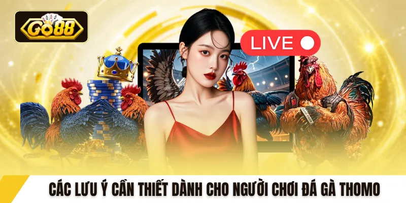 Các lưu ý cần thiết dành cho người chơi đá gà Thomo