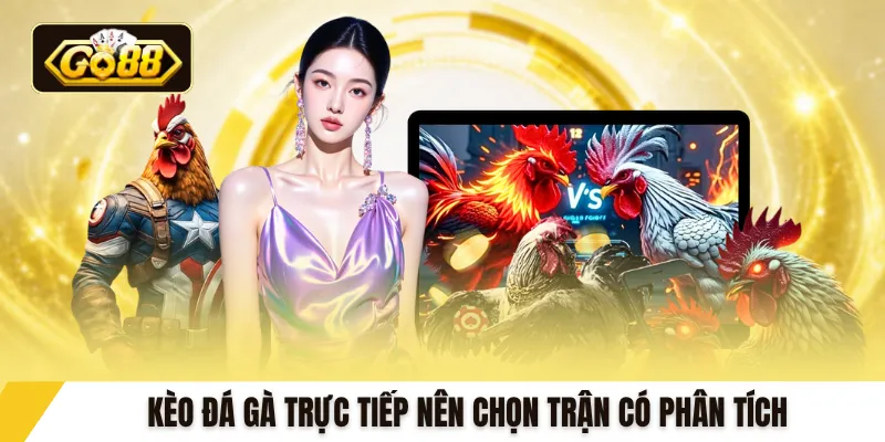 Kèo đá gà trực tiếp nên chọn trận có phân tích
