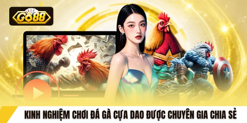 Kinh nghiệm chơi đá gà cựa dao được chuyên gia chia sẻ